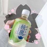 ヒメ日記 2026/04/09 11:20 投稿 しのぶ 即トク奥さん