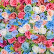 ヒメ日記 2025/10/03 02:03 投稿 るか 治療院.LOVE 宇都宮店