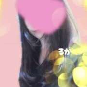 ヒメ日記 2025/11/27 08:03 投稿 るか 治療院.LOVE 宇都宮店