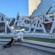 ヒメ日記 2025/10/16 08:30 投稿 つばさ ふぞろいの人妻たち