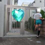 ヒメ日記 2025/11/11 15:40 投稿 つばさ ふぞろいの人妻たち