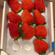 ヒメ日記 2026/02/06 15:19 投稿 りと MAHARAJA(マハラジャ)千葉