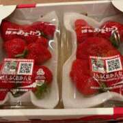 ヒメ日記 2026/02/09 12:02 投稿 りと MAHARAJA(マハラジャ)千葉