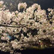 ヒメ日記 2026/03/31 19:25 投稿 りと MAHARAJA(マハラジャ)千葉