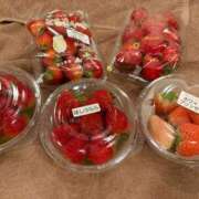 ヒメ日記 2026/04/04 11:48 投稿 りと MAHARAJA(マハラジャ)千葉