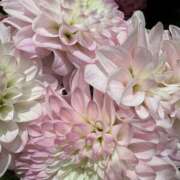 ヒメ日記 2026/05/04 18:05 投稿 りと MAHARAJA(マハラジャ)千葉