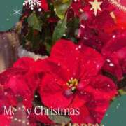 ヒメ日記 2025/12/24 14:22 投稿 りょう 熟女の風俗最終章 新宿店