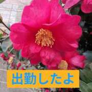 ヒメ日記 2026/01/31 17:52 投稿 りょう 熟女の風俗最終章 新宿店