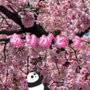 ヒメ日記 2026/02/18 17:53 投稿 りょう 熟女の風俗最終章 新宿店