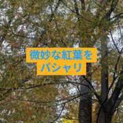 ヒメ日記 2025/11/02 17:46 投稿 りょう 熟女の風俗最終章 池袋店