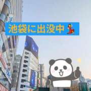 ヒメ日記 2025/11/22 16:32 投稿 りょう 熟女の風俗最終章 池袋店