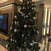 ヒメ日記 2025/12/15 16:22 投稿 りょう 熟女の風俗最終章 池袋店