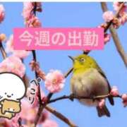 りょう 今週は水曜日に💃 熟女の風俗最終章 池袋店