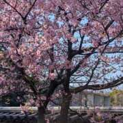 ヒメ日記 2026/03/02 09:12 投稿 りょう 熟女の風俗最終章 池袋店