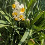 ヒメ日記 2026/03/02 18:07 投稿 りょう 熟女の風俗最終章 池袋店