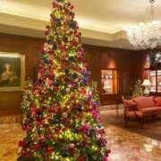 ヒメ日記 2025/12/25 19:41 投稿 くるみ クラブ日本橋