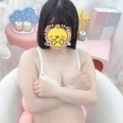 ヒメ日記 2025/09/02 01:39 投稿 ちわわ E+アイドルスクール　大阪・日本橋店