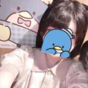 ヒメ日記 2025/09/05 18:19 投稿 ちわわ E+アイドルスクール　大阪・日本橋店