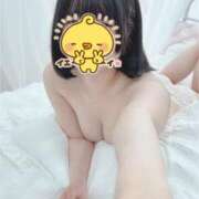 ヒメ日記 2025/09/07 01:59 投稿 ちわわ E+アイドルスクール　大阪・日本橋店