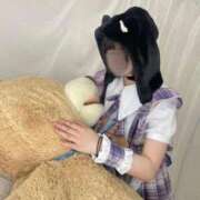 ヒメ日記 2025/09/22 23:19 投稿 ちわわ E+アイドルスクール　大阪・日本橋店