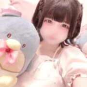 ヒメ日記 2025/10/04 20:01 投稿 ちわわ E+アイドルスクール　大阪・日本橋店