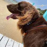 ヒメ日記 2025/11/29 23:13 投稿 ゆり☆STANDARD Ribbon 1st