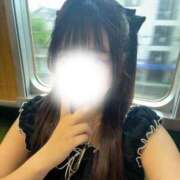 ヒメ日記 2025/10/25 03:00 投稿 香月　めい YUDEN～油殿～堺東店