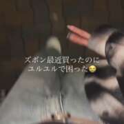 ヒメ日記 2025/10/06 20:31 投稿 リン COCOMERO（ココメロ）