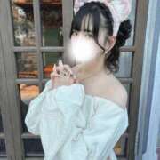 ヒメ日記 2025/10/23 09:01 投稿 リン COCOMERO（ココメロ）