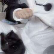 ヒメ日記 2025/11/20 09:16 投稿 リン COCOMERO（ココメロ）