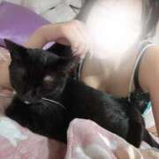 ヒメ日記 2025/12/08 03:31 投稿 リン COCOMERO（ココメロ）