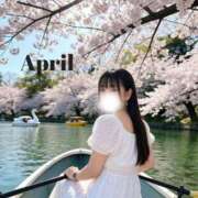 ヒメ日記 2026/04/01 08:16 投稿 リン COCOMERO（ココメロ）