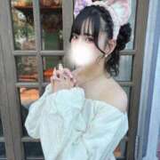 ヒメ日記 2026/04/15 10:16 投稿 リン COCOMERO（ココメロ）