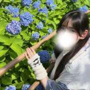 ヒメ日記 2026/06/13 08:16 投稿 リン COCOMERO（ココメロ）