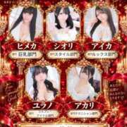 ヒメ日記 2026/10/14 10:01 投稿 リン COCOMERO（ココメロ）