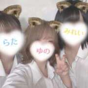 ヒメ日記 2026/10/14 21:47 投稿 ゆの 百花繚乱（薬研堀）