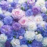 ヒメ日記 2026/02/12 23:18 投稿 妃小百合 お姉さんCLUB