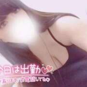 ヒメ日記 2025/09/16 16:29 投稿 ゆきな【高山出発】 Cat's高山店