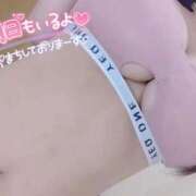 ゆきな【高山出発】 🖤おやちゅ♡ Cat's高山店