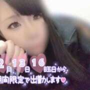 ヒメ日記 2026/02/12 12:59 投稿 ゆきな【高山出発】 Cat's高山店