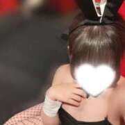 ヒメ日記 2025/09/15 10:06 投稿 レア バニーコレクション新潟店