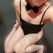 ヒメ日記 2025/09/17 11:50 投稿 レア バニーコレクション新潟店