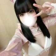 ヒメ日記 2025/10/20 13:30 投稿 レア バニーコレクション新潟店