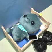 ヒメ日記 2025/11/04 16:34 投稿 レア バニーコレクション新潟店