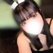 ヒメ日記 2025/11/10 10:07 投稿 レア バニーコレクション新潟店