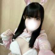 ヒメ日記 2025/11/10 15:17 投稿 レア バニーコレクション新潟店