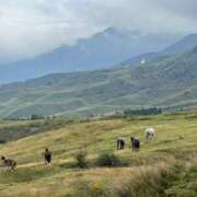 ヒメ日記 2025/11/11 14:25 投稿 りり あふたーすくーる本店