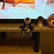 ヒメ日記 2025/11/25 11:23 投稿 りり あふたーすくーる本店