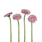 ヒメ日記 2025/10/04 21:57 投稿 逸藤さくら ハプニング痴漢電車or全裸入室