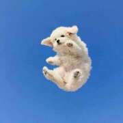 ヒメ日記 2025/10/16 13:17 投稿 逸藤さくら ハプニング痴漢電車or全裸入室